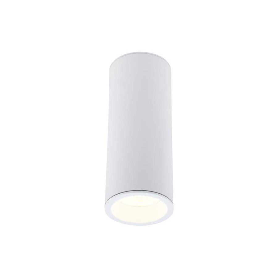 Стельовий світильник Maxlight Long C0153