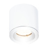 Стельовий точковий світильник NATYNKOWA Maxlight C0215 Білий IP65