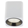 Стельовий точковий світильник Maxlight Tub C0156 білий + золоте декоративне кільце RC0155/C0156
