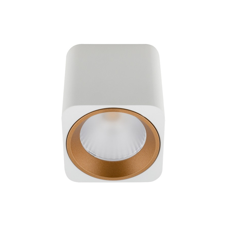Стельовий точковий світильник Maxlight Tub C0156 білий + золоте декоративне кільце RC0155/C0156