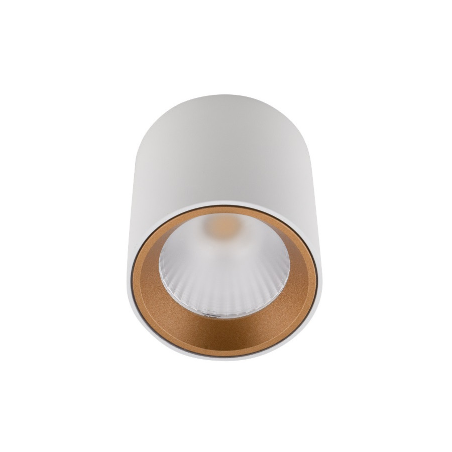 Стельовий точковий світильник Maxlight Tub C0155 білий  + золоте декоративне кільце RC0155/C0156